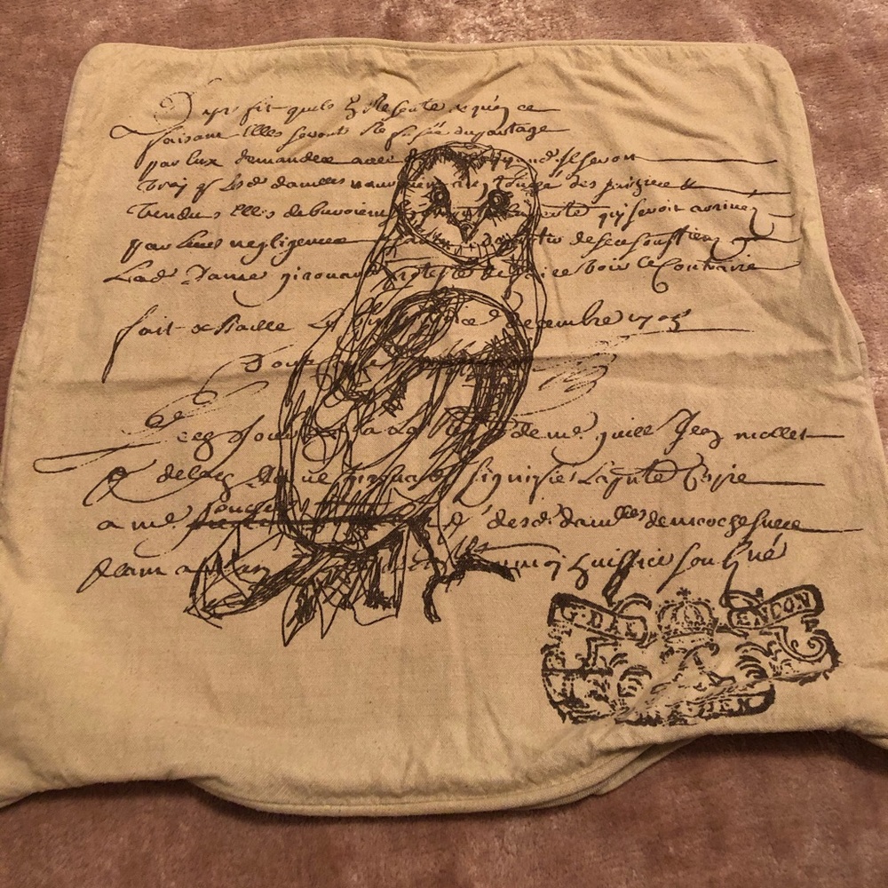 Set of 2 Owl Script Pillow covers